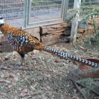 Miniaturansicht für das Anzeigenbild